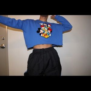 Vintage Disney Embroidered Crop